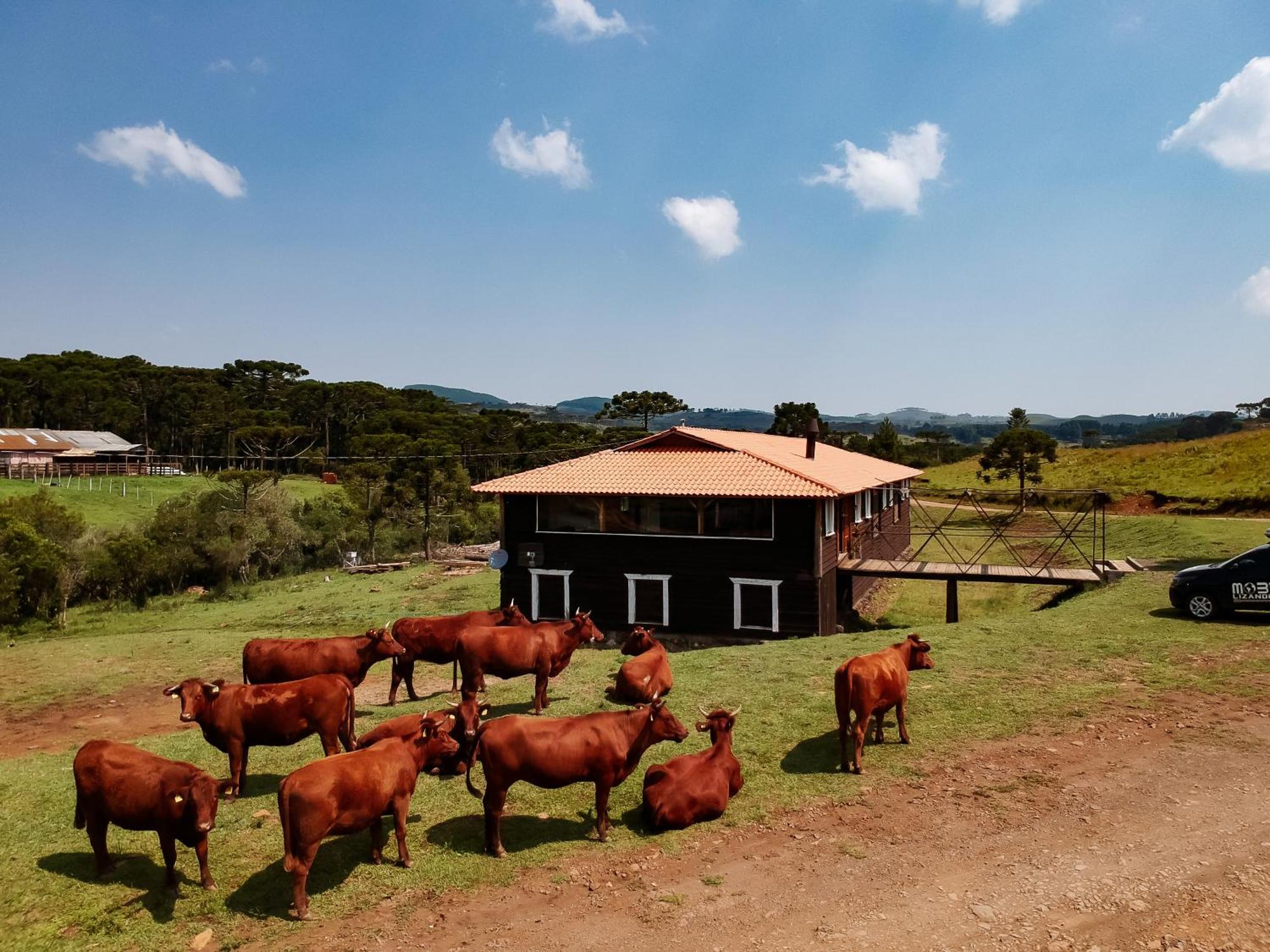 Fazenda Invernada Grande Turismo Rural Бом Жардим да Сера Екстериор снимка